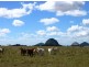11 Artillery Road, Cawarral QLD 4702