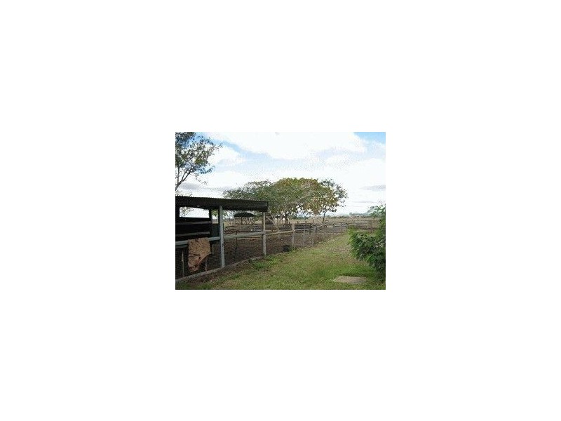 1273 Ridgelands Road, Alton Downs QLD 4702