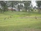 Lot 2 Rosehill Estate, Gracemere QLD 4702