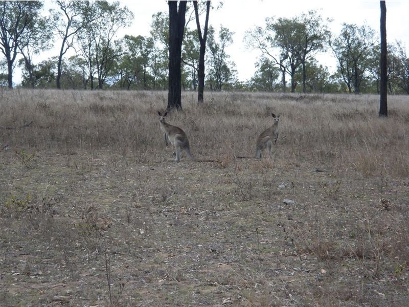 Lot 2 Rosehill Estate, Gracemere QLD 4702