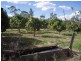 309 Seymour Rd, Ridgelands QLD 4702
