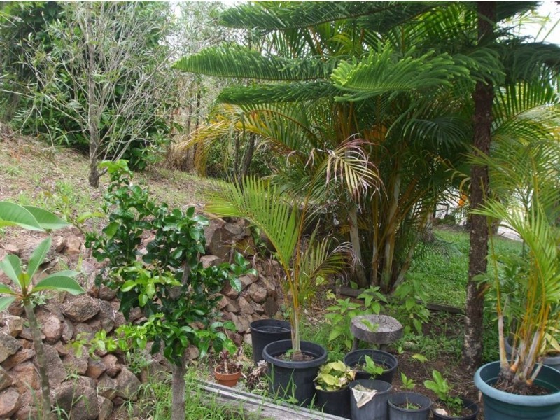 5 North Street, Mount Morgan QLD 4714