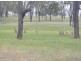 Lot 4 Rosehill Estate, Gracemere QLD 4702