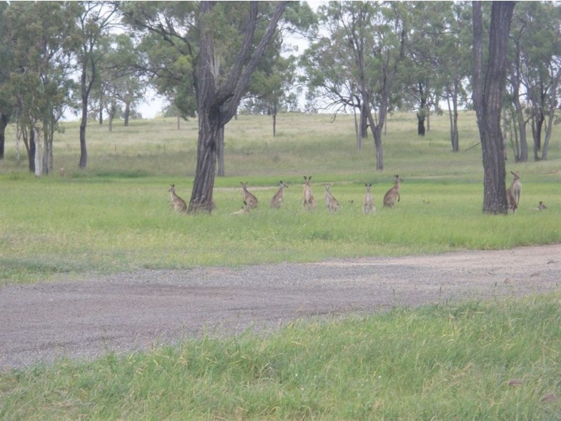 Lot 5 Rosehill Estate, Gracemere QLD 4702