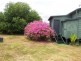19 Caroline Street, Wowan QLD 4702