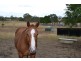 4100 Capricorn Hwy, Westwood QLD 4702