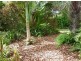 39 James street, Mount Morgan QLD 4714