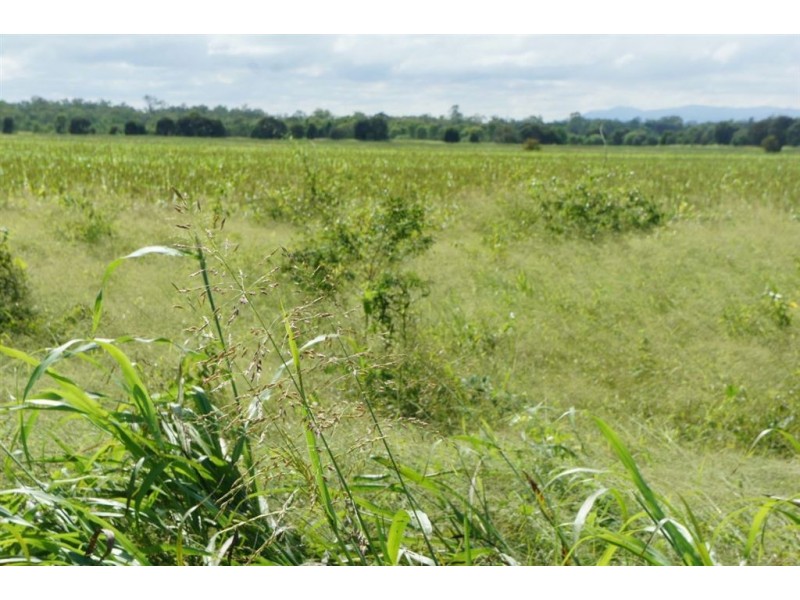 Lot 2 Birrahlee Rd, Alton Downs QLD 4702