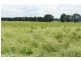 Lot 2 Birrahlee Rd, Alton Downs QLD 4702