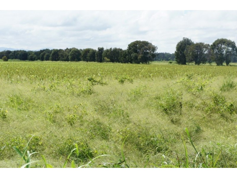 Lot 2 Birrahlee Rd, Alton Downs QLD 4702