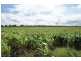 Lot 3 Birrahlee Rd, Alton Downs QLD 4702