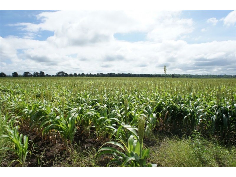 Lot 3 Birrahlee Rd, Alton Downs QLD 4702