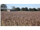 Lot 3 Birrahlee Rd, Alton Downs QLD 4702