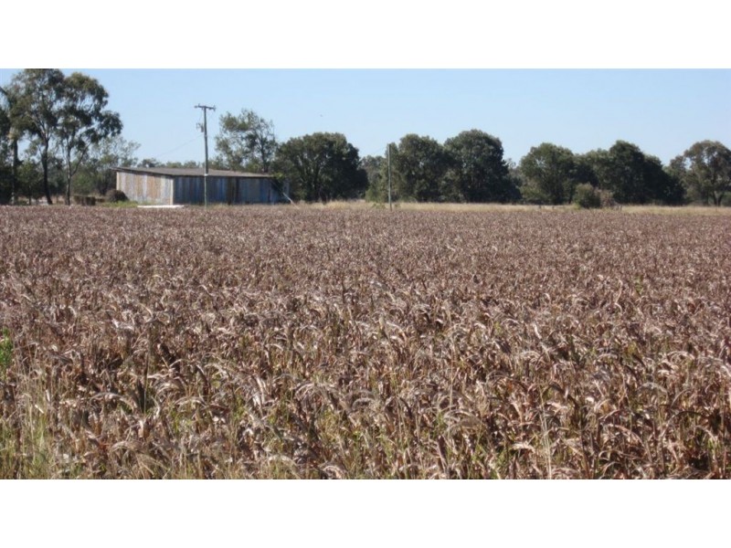 Lot 3 Birrahlee Rd, Alton Downs QLD 4702