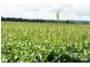 Lot 3 Birrahlee Rd, Alton Downs QLD 4702