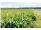 Lot 3 Birrahlee Rd, Alton Downs QLD 4702