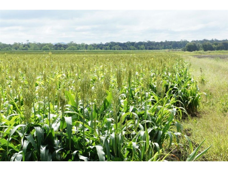 Lot 3 Birrahlee Rd, Alton Downs QLD 4702