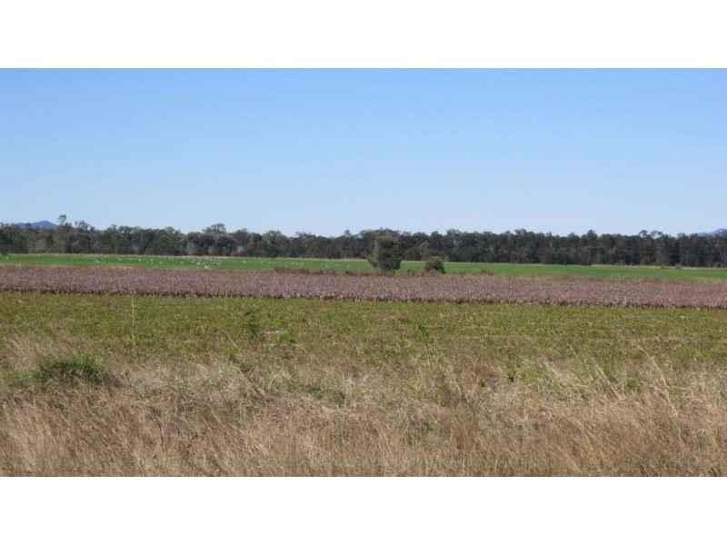 Lot 3 Birrahlee Rd, Alton Downs QLD 4702