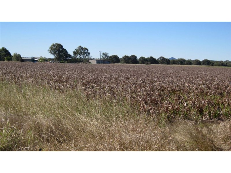 Lot 3 Birrahlee Rd, Alton Downs QLD 4702