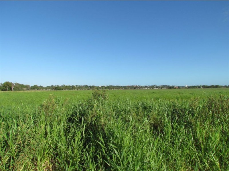 20 Fiddes Street, Rockhampton City QLD 4700