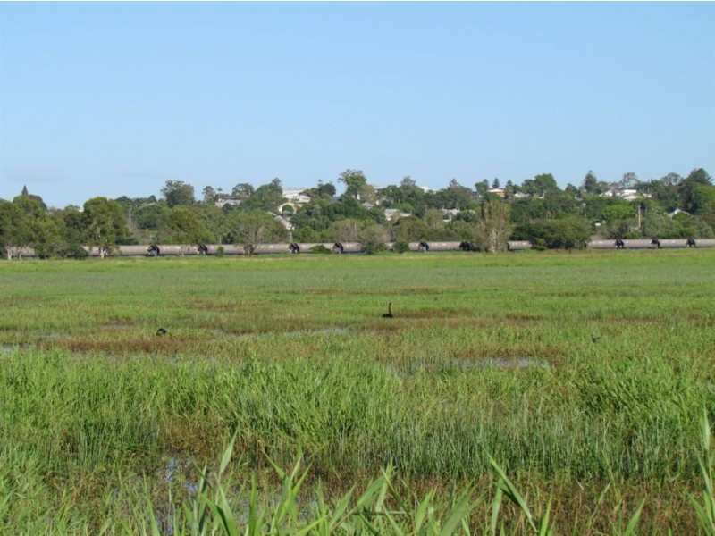 20 Fiddes Street, Rockhampton City QLD 4700