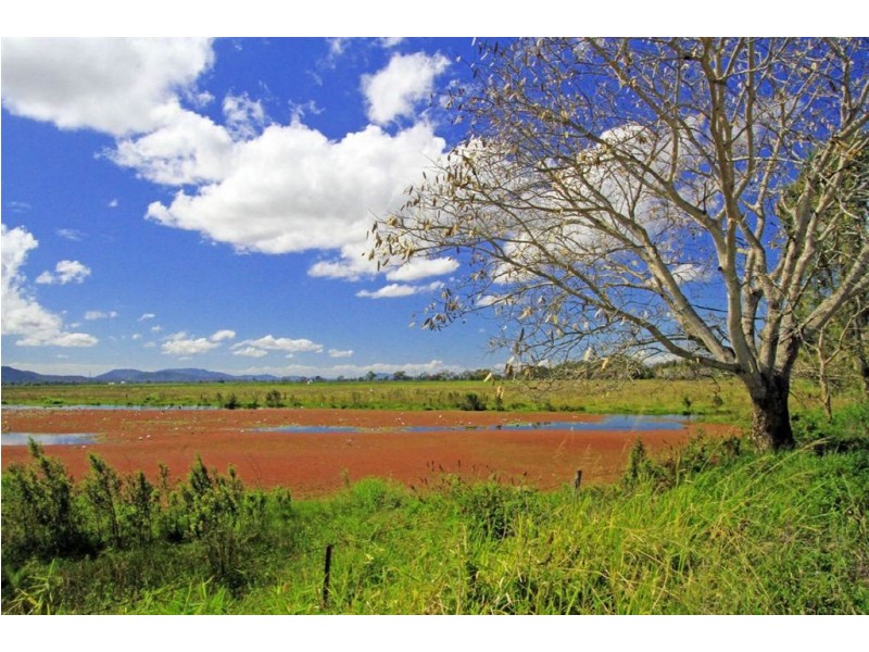 20 Fiddes Street, Rockhampton City QLD 4700