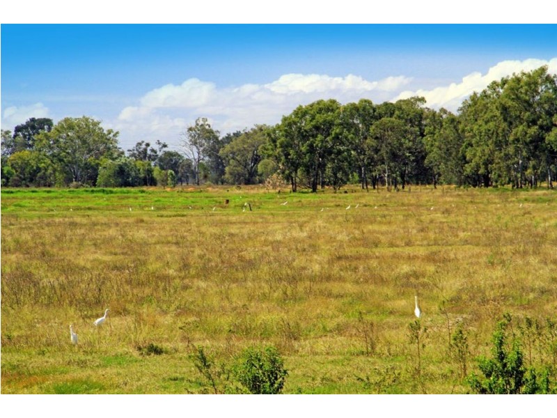 20 Fiddes Street, Rockhampton City QLD 4700