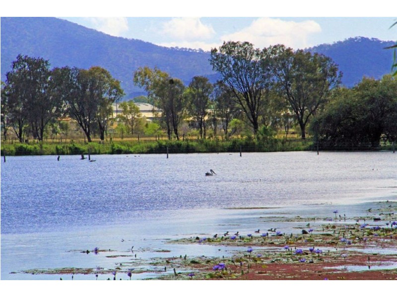 20 Fiddes Street, Rockhampton City QLD 4700