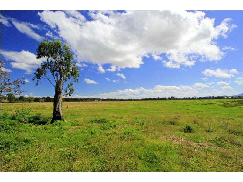 20 Fiddes Street, Rockhampton City QLD 4700