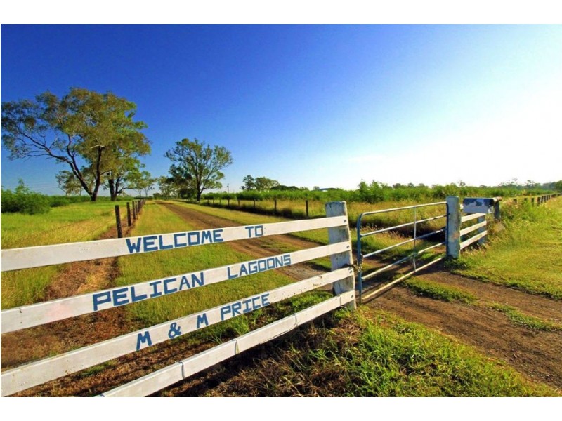 189 Stracey Road, Alton Downs QLD 4702