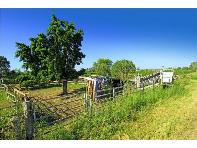 189 Stracey Road, Alton Downs QLD 4702