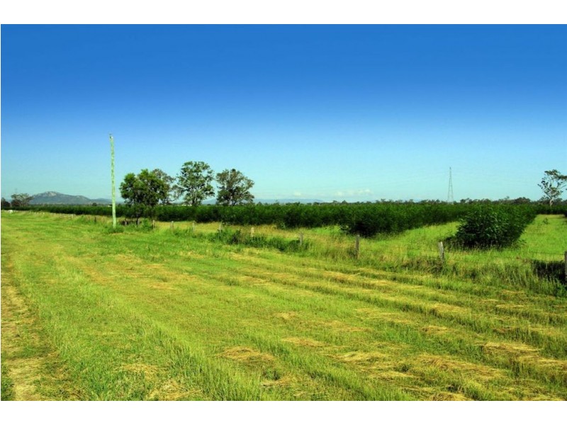 189 Stracey Road, Alton Downs QLD 4702