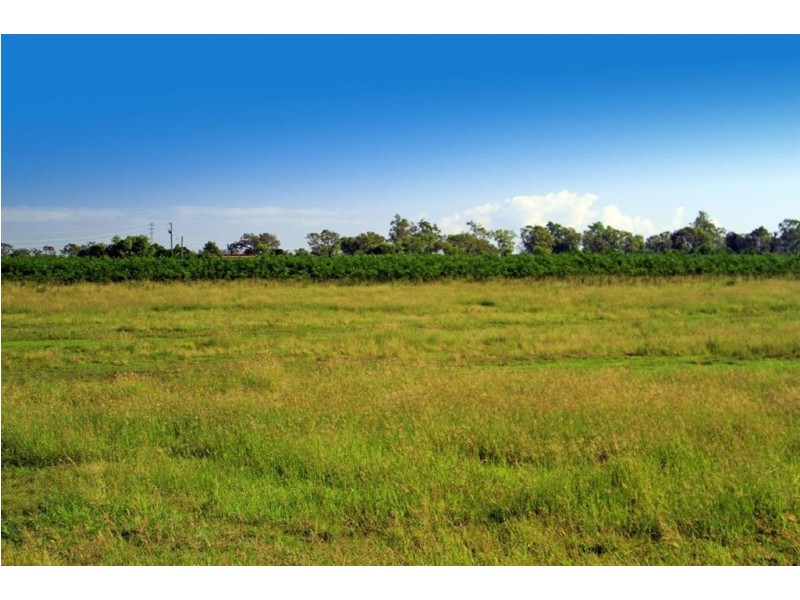 189 Stracey Road, Alton Downs QLD 4702