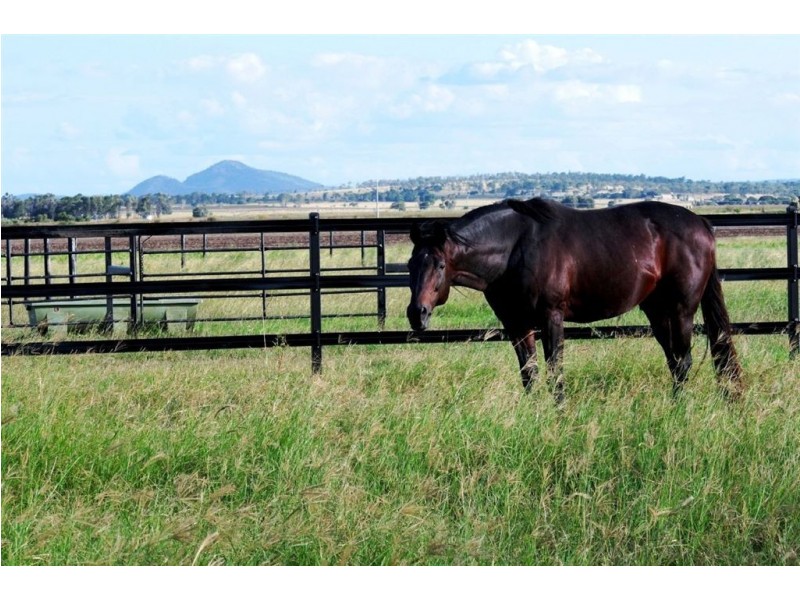 400 South Yaamba Rd, Alton Downs QLD 4702