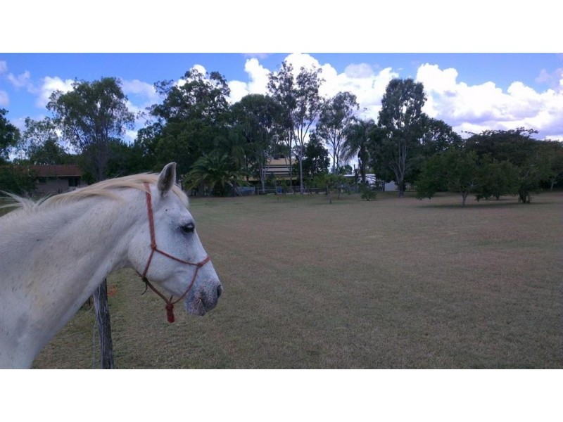 121 victoria st, Gracemere QLD 4702