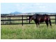 400 South Yaamba Road, Alton Downs QLD 4702