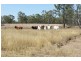 Lot 1 Lion Mtn Rd, Alton Downs QLD 4702