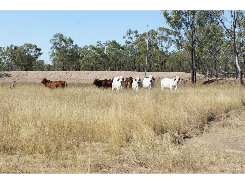 Lot 1 Lion Mtn Rd, Alton Downs QLD 4702