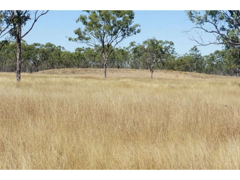 Lot 1 Lion Mtn Rd, Alton Downs QLD 4702