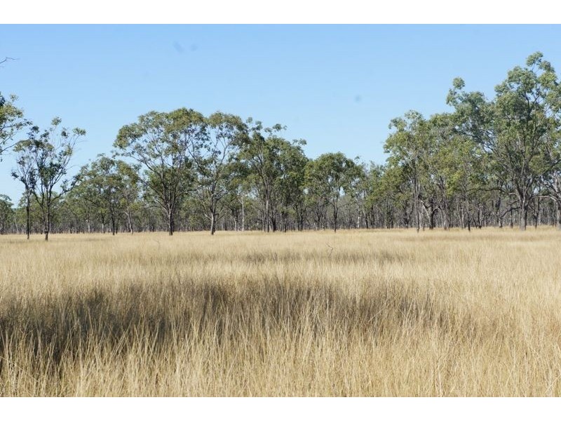 Lot 1 Lion Mtn Rd, Alton Downs QLD 4702