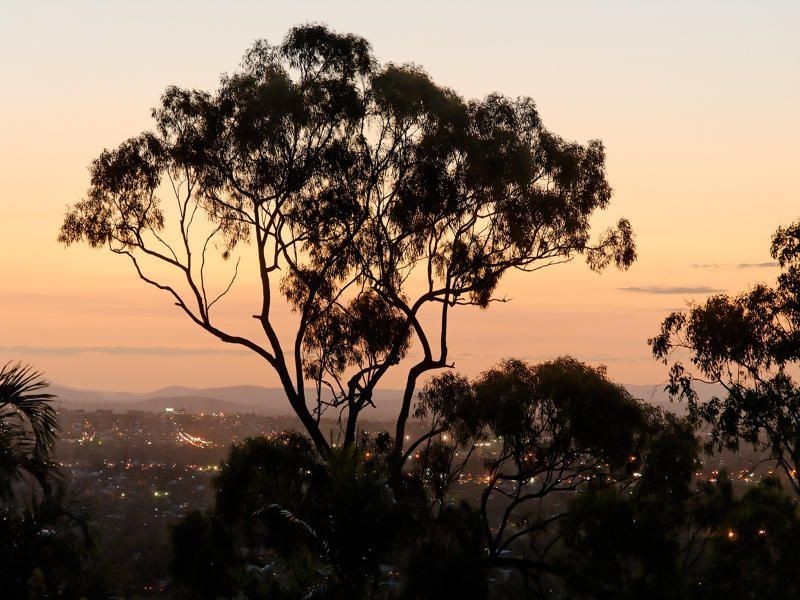 65a Forbes Ave, Frenchville QLD 4701