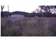 49000 burnett highway, Mount Morgan QLD 4714