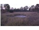 49000 burnett highway, Mount Morgan QLD 4714