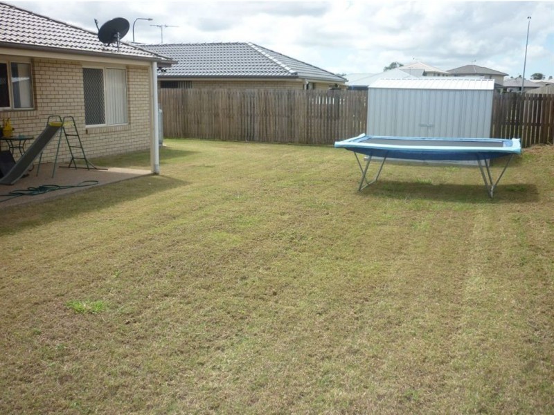 41 Lillypilly Avenue, Gracemere QLD 4702