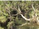 LOT 62 BAJOOL-ULAM RD, Bajool QLD 4699