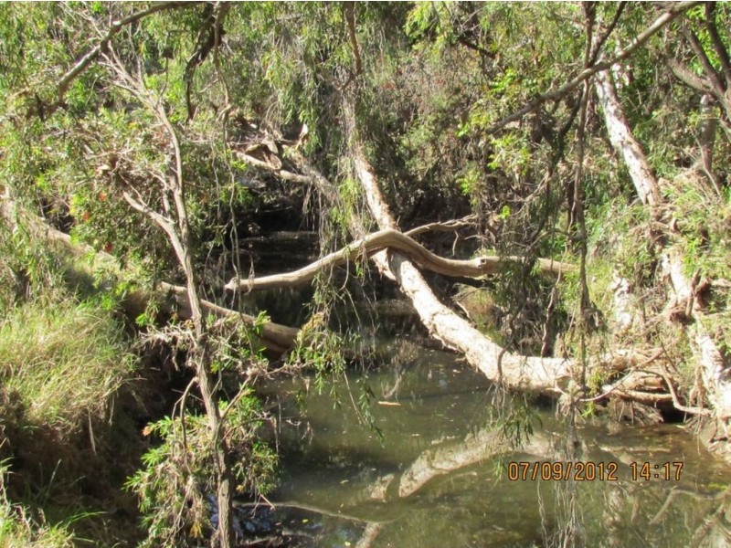 LOT 62 BAJOOL-ULAM RD, Bajool QLD 4699