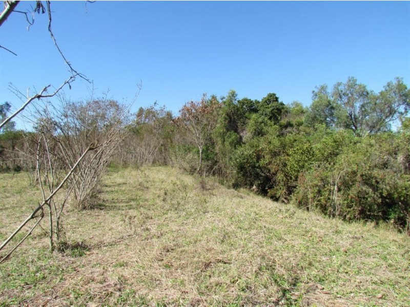 LOT 62 BAJOOL-ULAM RD, Bajool QLD 4699