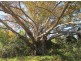 LOT 62 BAJOOL-ULAM RD, Bajool QLD 4699