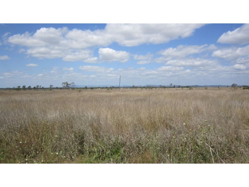 L4, 1149 Ridgelands Road, Alton Downs QLD 4702