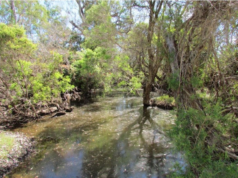 2489 STANWELL – WAROULA RD, Alton Downs QLD 4702